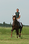 pferdefotos deutsches_reitpony