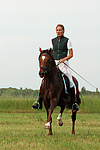 pferdefotos deutsches_reitpony