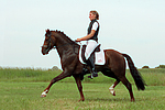 pferdefotos deutsches_reitpony