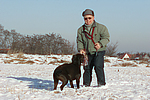 hundefotos labrador_retriever