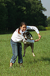hundefotos border_collie