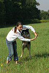 hundefotos border_collie