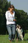 hundefotos border_collie
