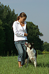 hundefotos border_collie