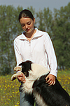 hundefotos border_collie