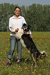 hundefotos border_collie