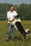 hundefotos border_collie