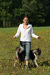 hundefotos border_collie