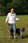 hundefotos border_collie