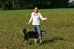 hundefotos border_collie