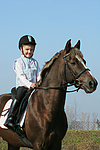 pferdefotos deutsches_reitpony