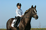pferdefotos deutsches_reitpony
