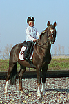 pferdefotos deutsches_reitpony