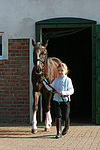 pferdefotos deutsches_reitpony