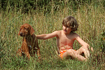 hundefotos rhodesian_ridgeback