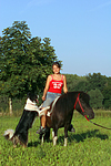 pferdefotos shetland_pony