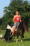 pferdefotos shetland_pony