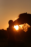 pferdefotos shetland_pony