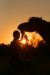 pferdefotos shetland_pony