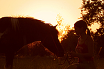 pferdefotos shetland_pony