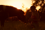 pferdefotos shetland_pony