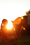 pferdefotos shetland_pony