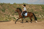 pferdefotos deutsches_reitpony