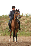 pferdefotos deutsches_reitpony