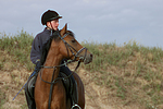 pferdefotos deutsches_reitpony