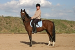 pferdefotos deutsches_reitpony