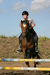 pferdefotos deutsches_reitpony