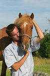 pferdefotos ponys