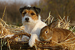 tierfreundschaft tierfreundschaft