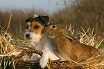 tierfreundschaft tierfreundschaft