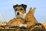 tierfreundschaft tierfreundschaft