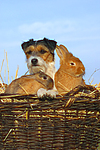 tierfreundschaft tierfreundschaft