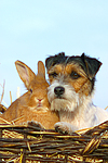tierfreundschaft tierfreundschaft