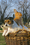 tierfreundschaft tierfreundschaft