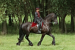 pferdefotos friese