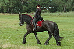pferdefotos friese