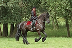 pferdefotos friese