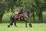 pferdefotos friese
