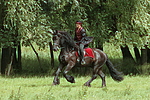 pferdefotos friese