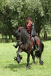 pferdefotos friese