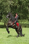 pferdefotos friese
