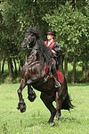 pferdefotos friese