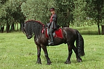 pferdefotos friese
