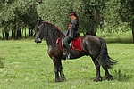 pferdefotos friese