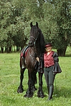 pferdefotos friese