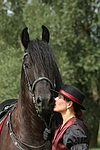 pferdefotos friese